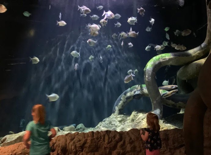 Wildlife World Zoo, Aquarium & Safari Park, United States